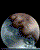 Arnal